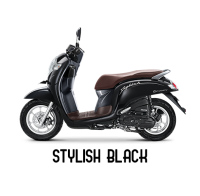 Honda Scoopy PLUS Stylish/Prestige
